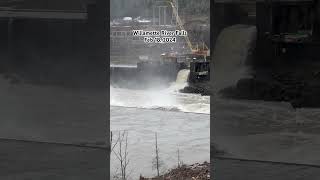 Willamette River Falls Feb 18 2024 [upl. by Zemaj]