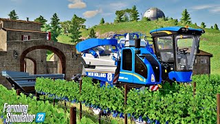 Zbiór winogron  33 Haut Beyleron  Farming Simulator 22 [upl. by Spear]