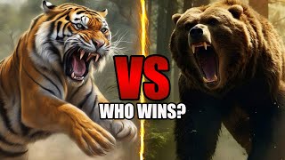 Grizzly Bear VS Siberian Tiger  Who Will Win  Animal Faceoff [upl. by Raouf481]