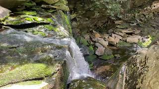 Elakala Falls in Blackwater Falls State Park WV [upl. by Ardnuhsal]