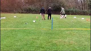 Rally Obedience Turnier beim SG OV Baiersdorf [upl. by Ellery]