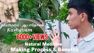 Adathodai  ஆடாதோடை Kashayam  Making Process and Benefits of Malabar Nut ஆடாதோடை  CBT [upl. by Uziel]