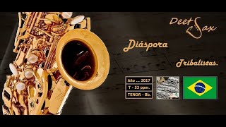 🇧🇷 DIASPORA  Tribalistas  Tenor Sax [upl. by Ttergram42]