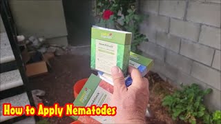 How to Apply Beneficial Nematodes [upl. by Ynahteb371]