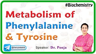 Metabolism of Phenylalanine and Tyrosine  Phenylketonuria PKU Alkaptonuria and Tyrosinemia [upl. by Rossie63]