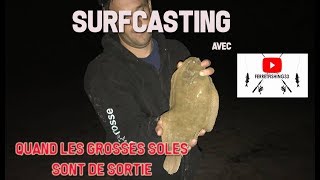 Surfcasting en été avec Ferret fishing33 [upl. by Padriac810]