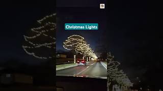 Christmas Light Decorations outdoordecor christmasdecor christmaslights chicago 2023 shorts [upl. by Erie748]