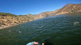 Most epic striped bass fishing ever  Pyramid lake CA [upl. by Aicilaana990]