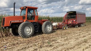 CHOPPING CORN SILAGE with Allis Chalmers Tractors [upl. by Mccomb]