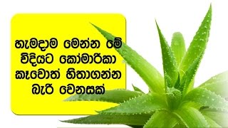 හැමදාම කෝමාරිකා කෑවොත් හිතාගන්න බැරි වෙනසක්  Health Benefits Of Aloe Vera Juice [upl. by Garrott924]