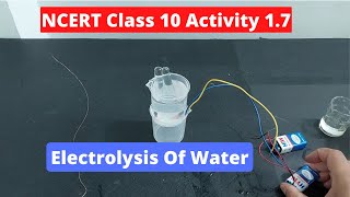 How to perform electrolysis of Water I Class 10 Science I Chapter 1 activity 17 I NCERT I [upl. by Jessey]