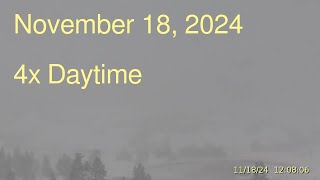 November 18 2024 Upper Geyser Basin Daytime 4x Streaming Camera Archive [upl. by Nomi748]