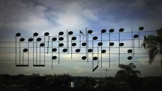 Amazing Music by the Birds on a Wire [upl. by Struve908]