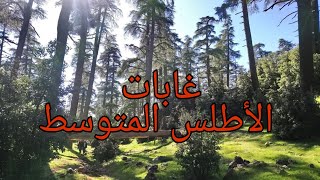 جبال الأطلس  غابات الأطلس المتوسط  بحيرة ويوان  Forêt moyen Atlas [upl. by Carmelia]