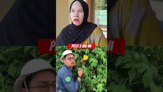 Bagi napa bu lawak komedi [upl. by Tarkany]