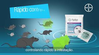 Como eliminar ratos Rodilon Soft Bait a Solução Bayer  vídeo 1 [upl. by Nerot]