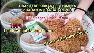 CARA FERMENTASI SEKAM MENTAH SUPER CEPAT‼️ BELOM ADA YANG TAU TRIK AMPUH INI [upl. by Orhtej]