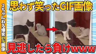 【おもしろgif総集編】思わず笑ってしまった傑作gif画像集ww 【コメ付き】【ゆっくり解説】【2chスレ】【5ch】 [upl. by Juetta]