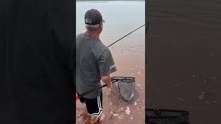 Here Is Seven Fishing At Beautiful Antero Reservoir In Hartsel Colorado fishing shorts world [upl. by Altaf808]