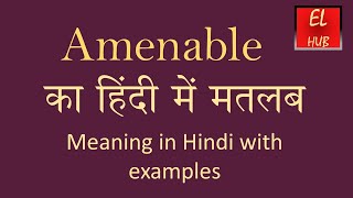 Amenable meaning in Hindi [upl. by Animrelliug]