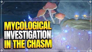 Mycological Investigation in The Chasm  World Quests and Puzzles 【Genshin Impact】 [upl. by Neenad218]