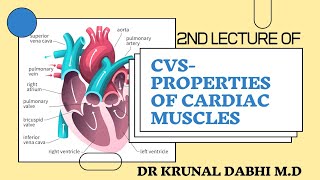 Properties of Cardiac Muscles Excitability Rythmicity ConductivityContractility Dr Krunal Dabhi [upl. by Pinto673]