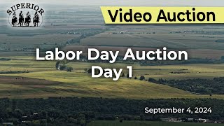 Superior Livestock AuctionLabor Day Auction Day 1 [upl. by Elraet]