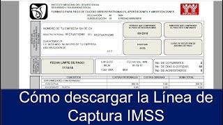 ¿Cómo descargar una LINEA DE CAPTURA del IMSS 📄✅  Formato de PAGO del IMSS RÁPIDO Y FÁCIL [upl. by Ybbob338]