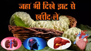 sitafal sarifa khoob khaao laabh uthao videohealth nutritionfacts [upl. by Joycelin224]