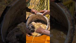 Hadzabe best chief preparing Lunch for Us today 😋😍food hadzabetribe [upl. by Ahrat]