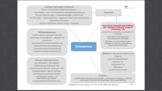 Heilpraktiker für Psychotherapie Schizophrenie [upl. by Cowden940]