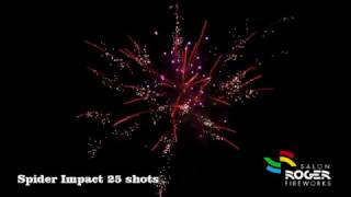 Spider Impact 25 Shots Vuurwerk Cake Salon Roger Fireworks [upl. by Laro]