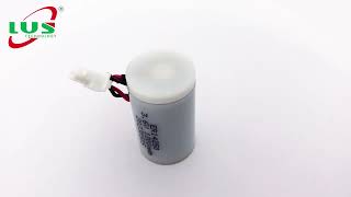 Lithium Thionyl Chloride Battery [upl. by Hermes]