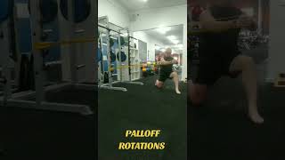 PALLOFF ROTATIONS fitnesscoach melbournepersonaltrainer coach [upl. by Nyved]