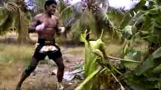 BUAKAW BANCHAMEK kick [upl. by Byrd]