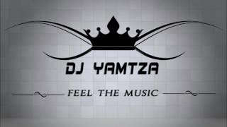 Vanessa Bling Future Guaranteed Dj YaMtZa Extended Mix [upl. by Shanney]