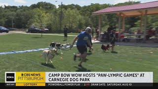 Camp Bow Wow hosts quotPawlympicquot Games [upl. by Pelmas212]