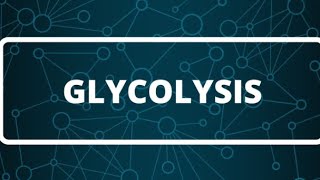 Biochemistry  Glycolysis part 1 كيمياء حيوية كيفية تحلل السكر [upl. by Yelkao]