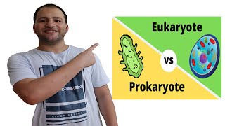 Prokaryotes and Eukaryotes comparison [upl. by Aretahs]