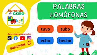 Palabras homófonas para niños [upl. by Zsazsa]