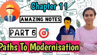 Chapter 11 Paths To Modernisation Part 6 I Class 11th History NCERT [upl. by Aros]