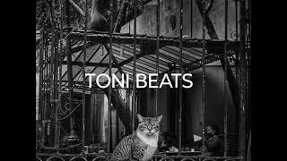 BEAT HIP HOP TONI BEATS USO LIBRE 2024 [upl. by Abbotsen720]