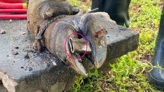 Ep57  Cleaning TV  Experts use stone to treat cows foot  THE CLEANING and CUTTUNG [upl. by Talyah33]