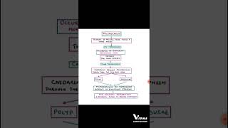 POLYMORPHISM IN CNIDARIA BABY INTRODUCTIONshorts UPSC ZOOLOGY MSC ZOOLOGY BSC ZOOLOGY NEP [upl. by Lesya]