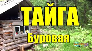 ТАЙГА  БУРОВАЯ УСТАНОВКА В ТАЙГЕ  ДОБЫЧА [upl. by Atirabrab]