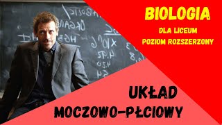 Układ moczowopłciowy Biologia rozszerzona do matury matura [upl. by Lister]