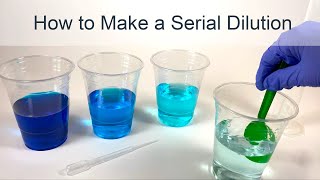 How to Make a Serial Dilution [upl. by Luiza]