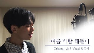 여름 바람 해돋이 ナツノカゼ御来光  Cover By 김준태 [upl. by Boar]