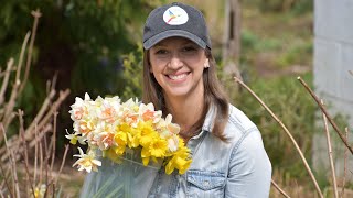 How to Cut and Condition Daffodils for the Longest Vase Life  Northlawn Flower Farm [upl. by Stasny]