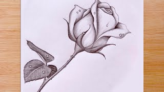 How To Draw a Rose with Water Drops  Pencil Sketch [upl. by Akihsat]